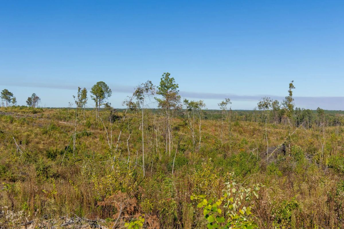Meyer’s Ridge Tract 32 - Image 4