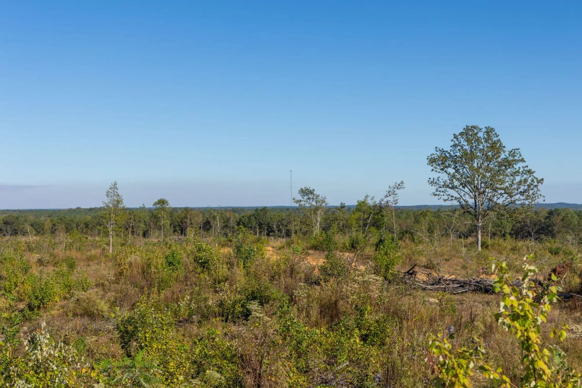 Decorative background for Meyer’s Ridge Tract 32 image 5