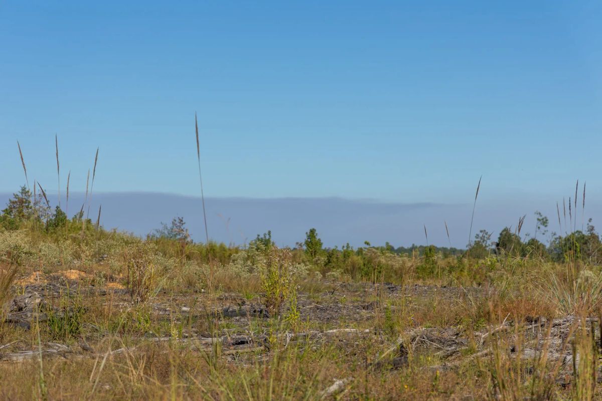Decorative background for Meyer’s Ridge Tract 32 image 9