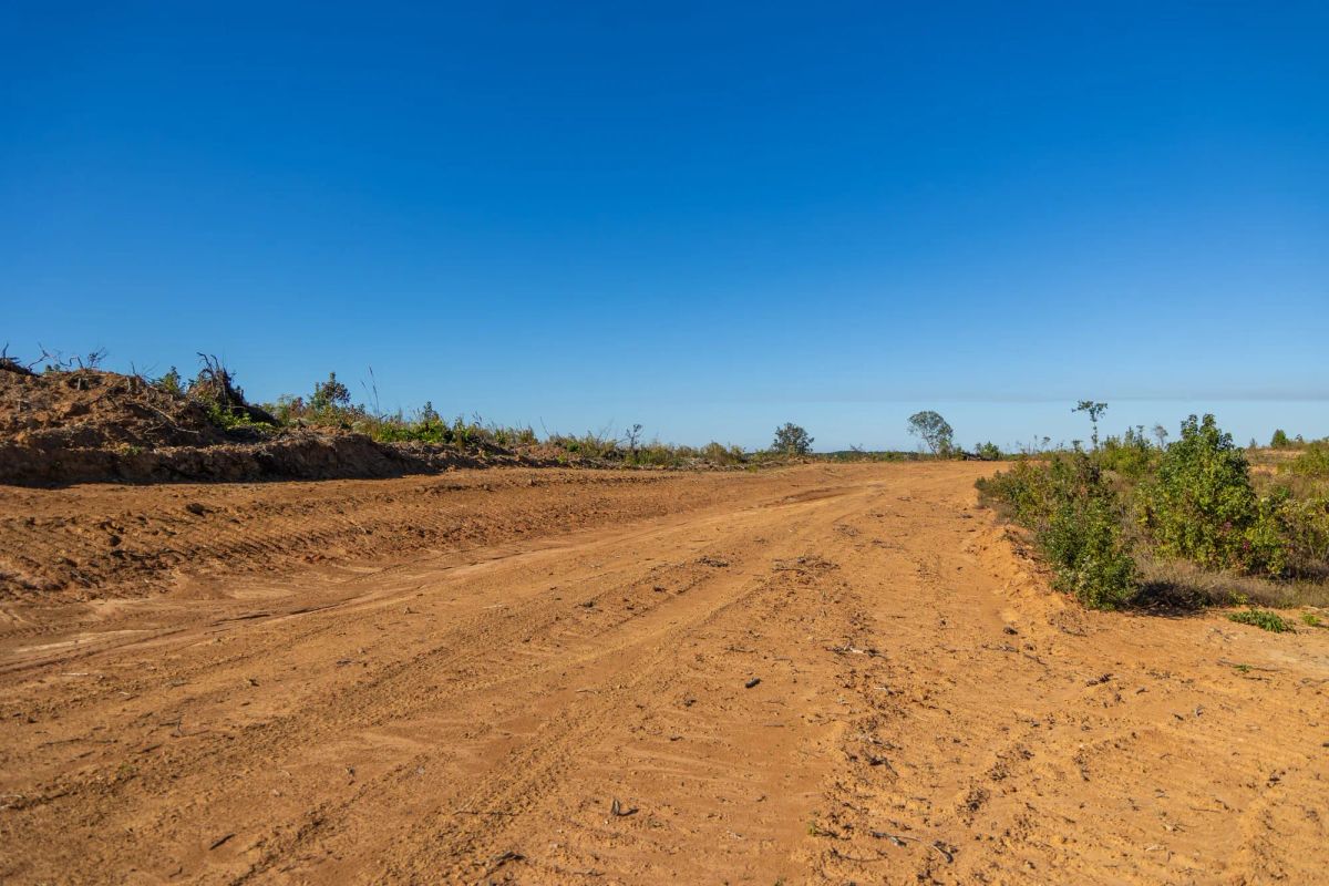 Decorative background for Meyer’s Ridge Tract 32 image 11