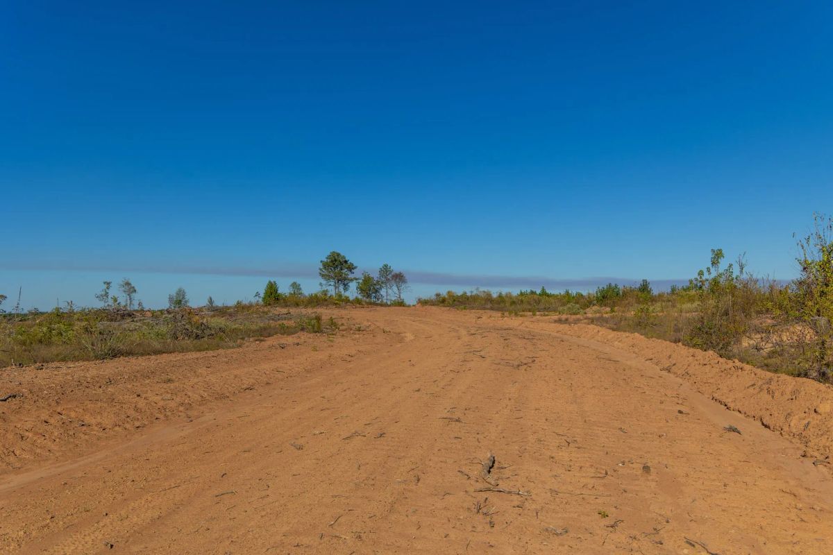 Decorative background for Meyer’s Ridge Tract 32 image 15