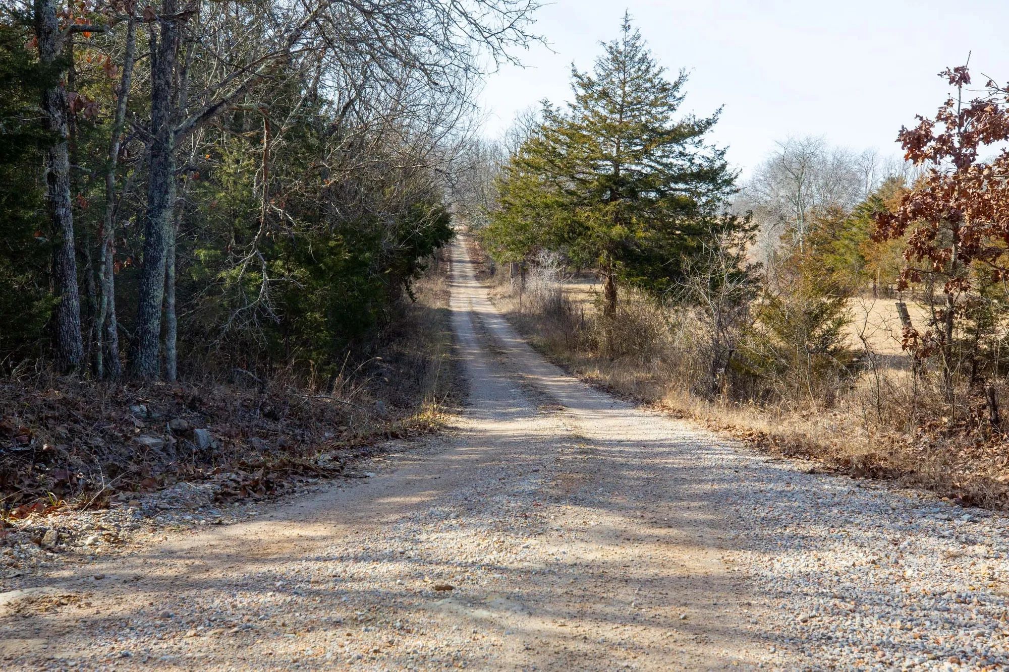 Forest Hill Tract 13 in Texas County, MO
