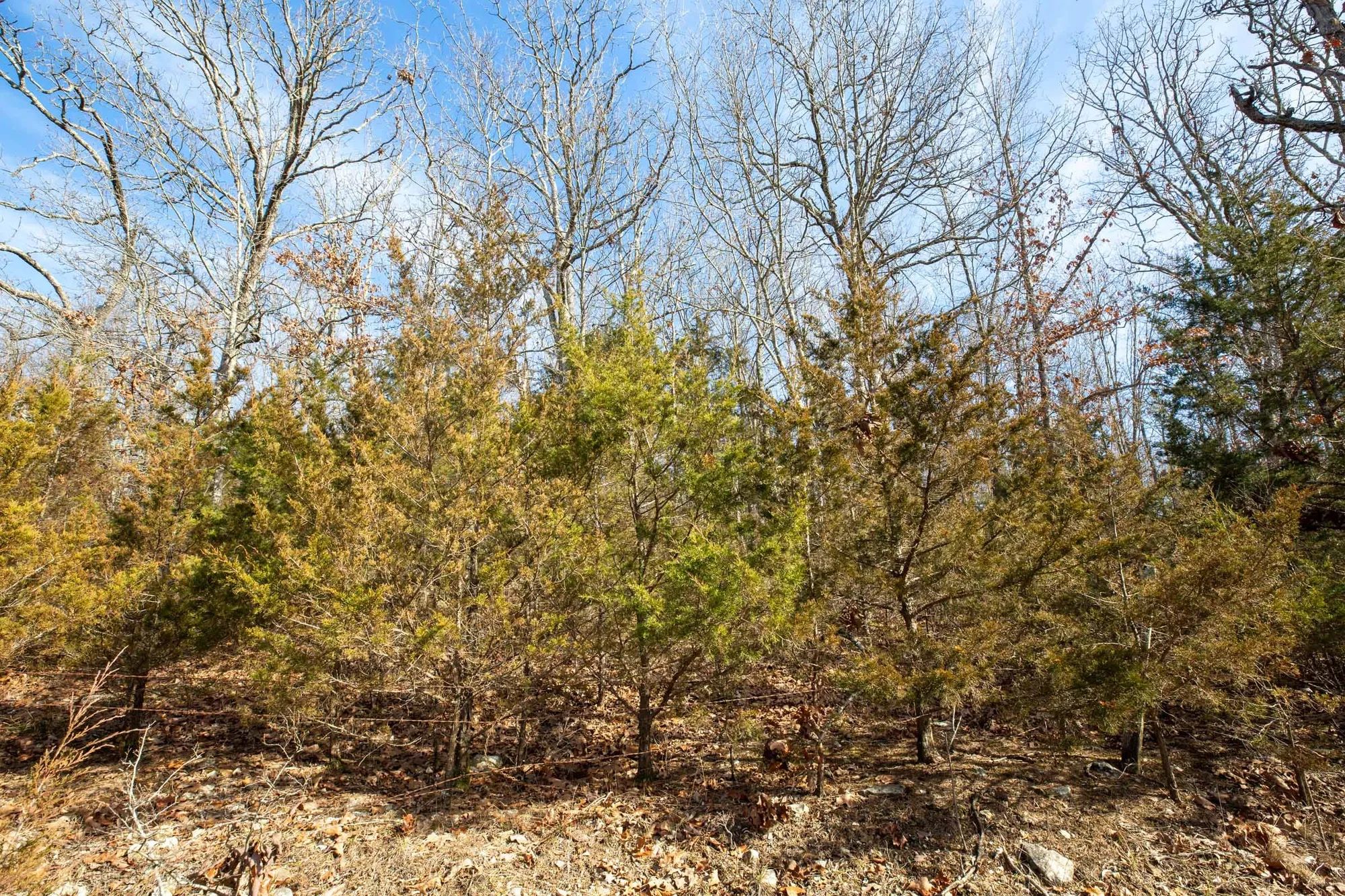 Forest Hill Tract 13 in Texas County, MO