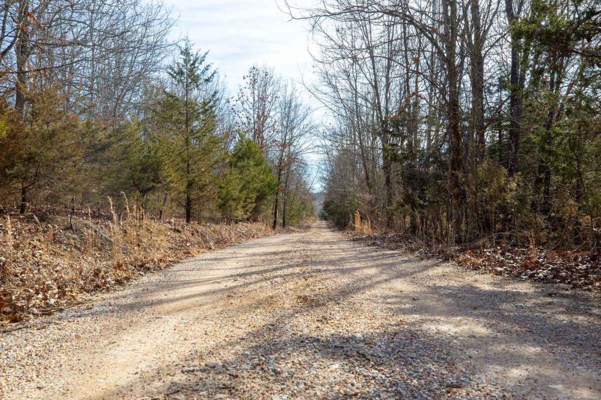 Decorative background for Forest Hill Tract 13 image 7