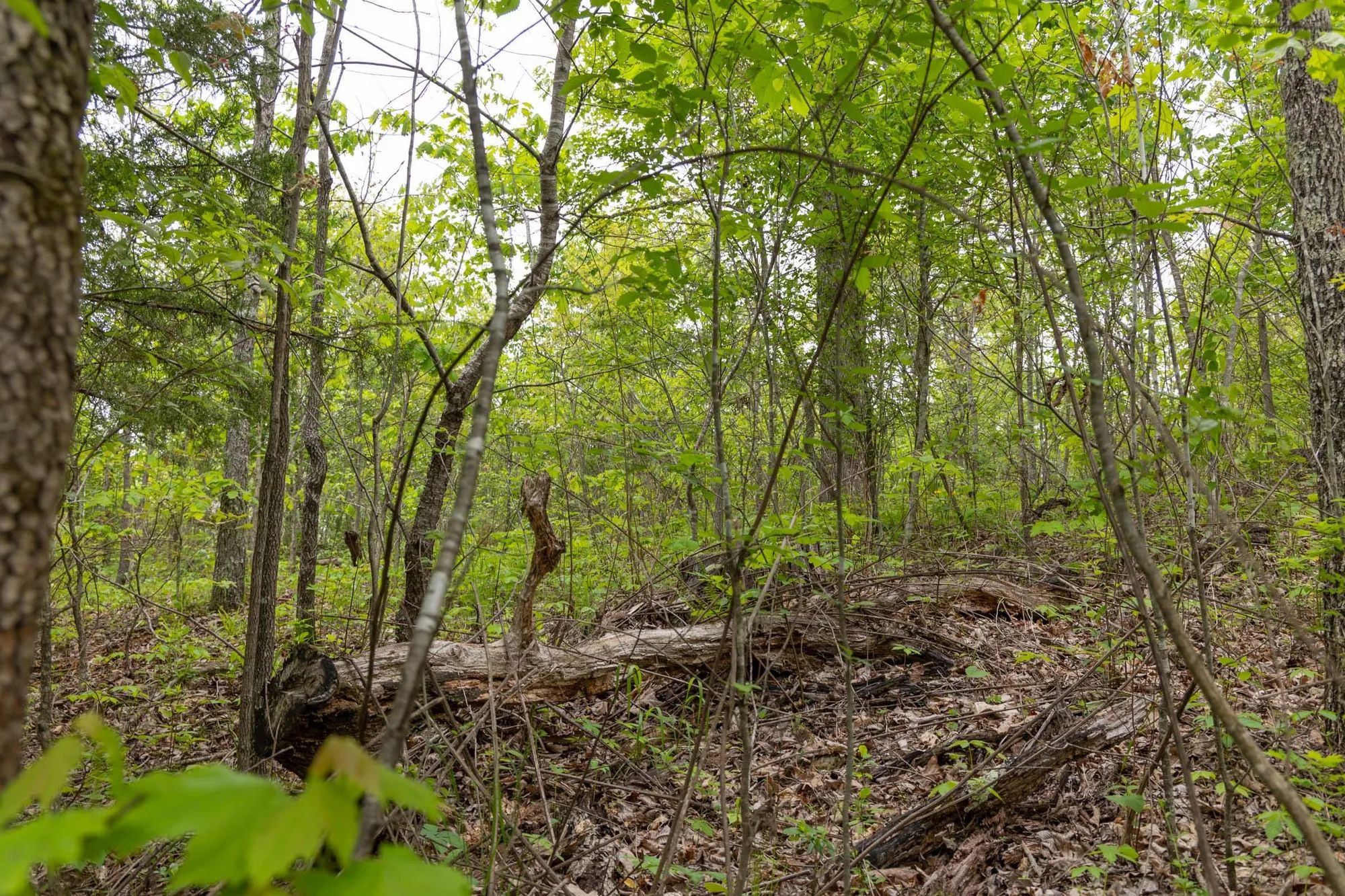 Sleepy Hollow Phase II Tract 108 in Texas County, MO