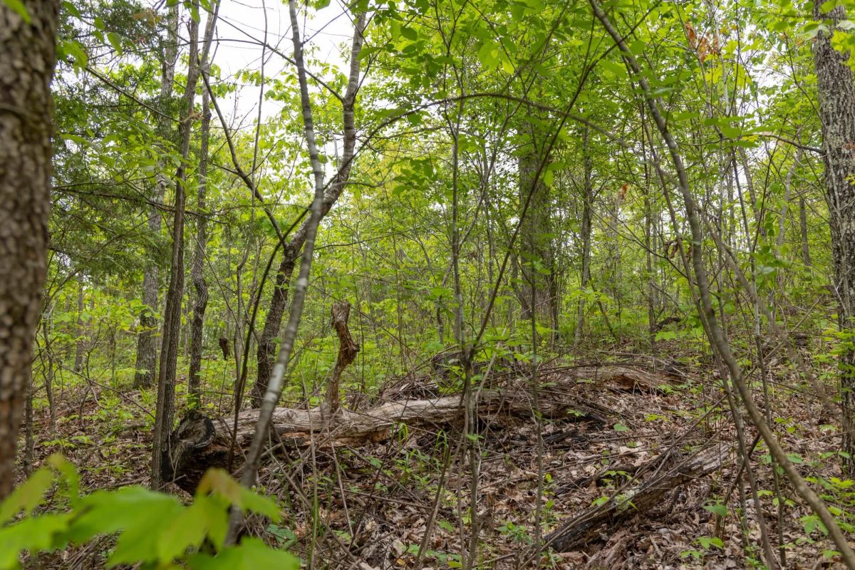 Sleepy Hollow Phase II Tract 108 - Main image