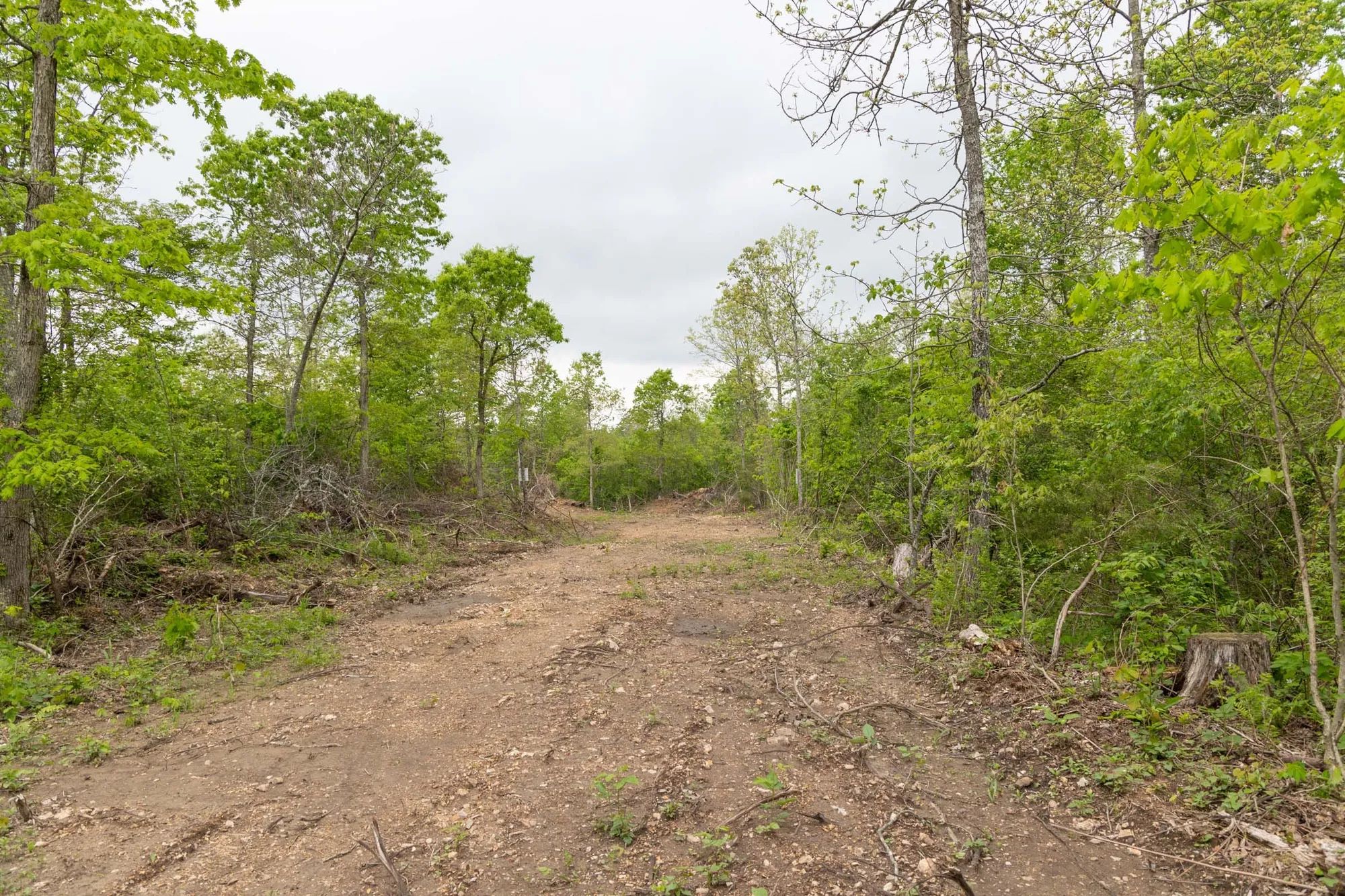 Sleepy Hollow Phase II Tract 108 in Texas County, MO