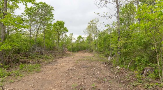 Sleepy Hollow Phase II Tract 108 in Texas County, MO