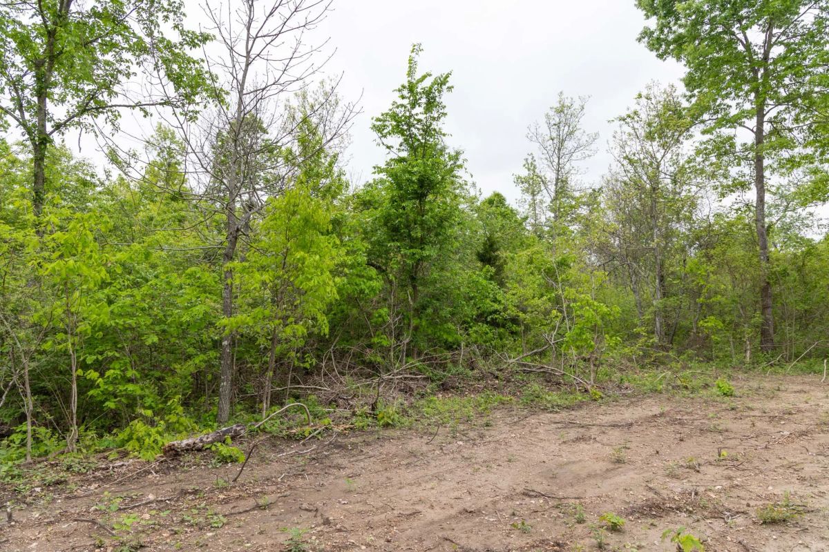 Sleepy Hollow Phase II Tract 108 - Image 4