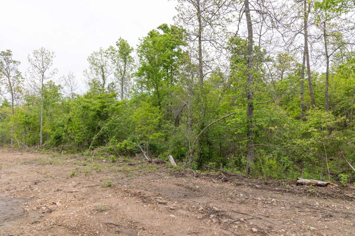Decorative background for Sleepy Hollow Phase II Tract 108 image 5