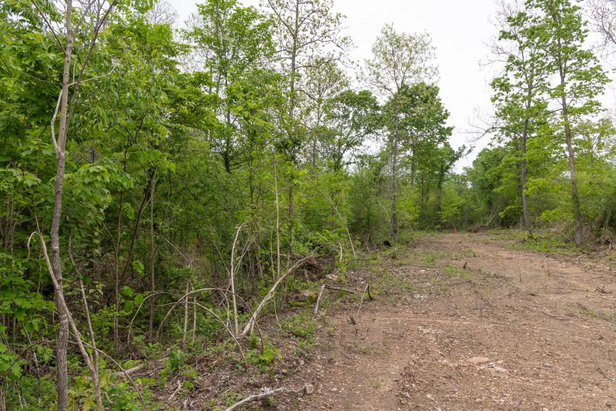 Decorative background for Sleepy Hollow Phase II Tract 108 image 8