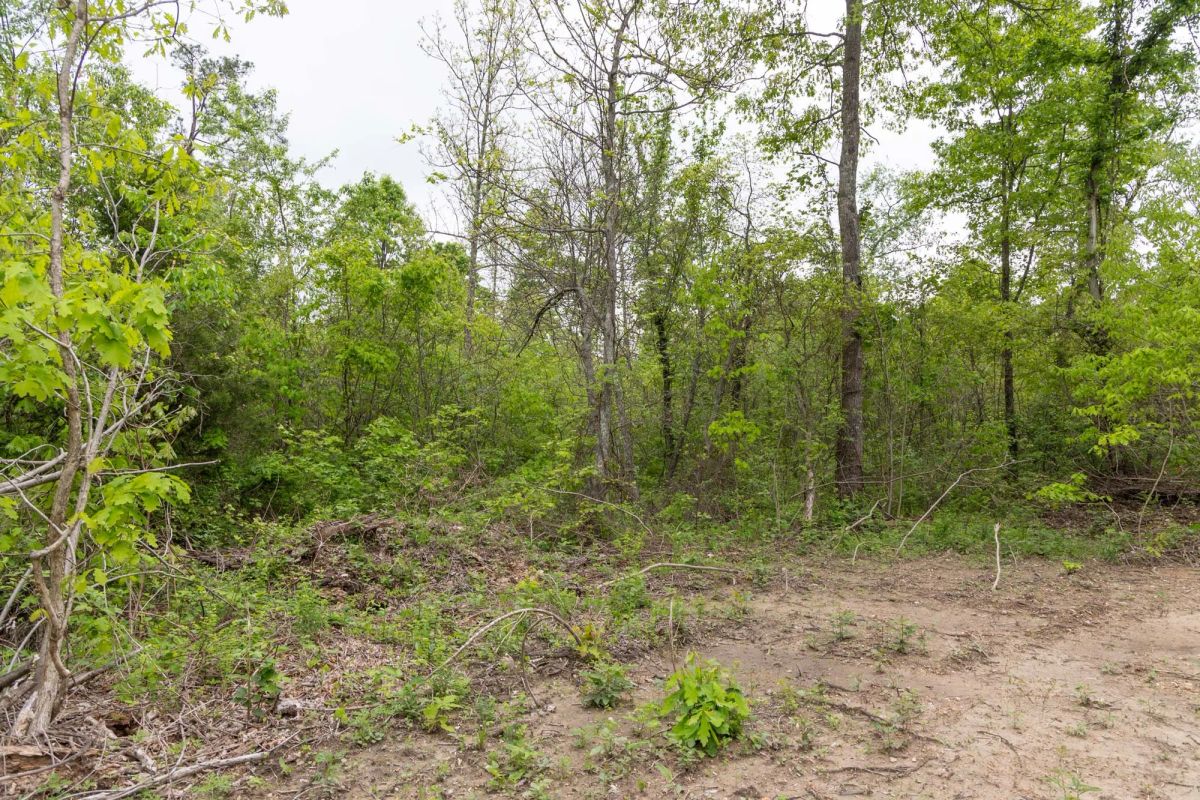 Decorative background for Sleepy Hollow Phase II Tract 108 image 10