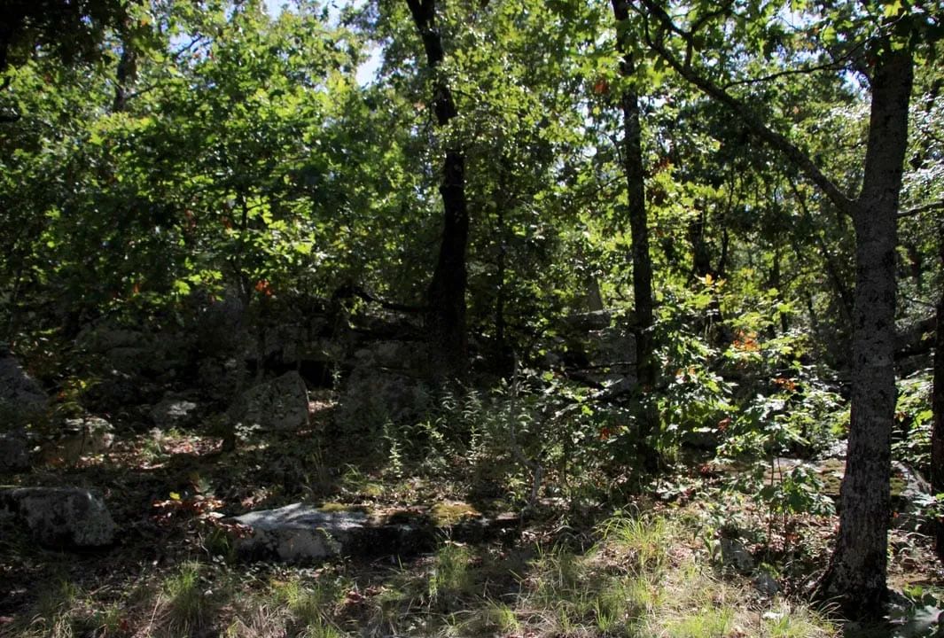 Lakeview Private Reserve Tract 15 in Pushmataha County, OK