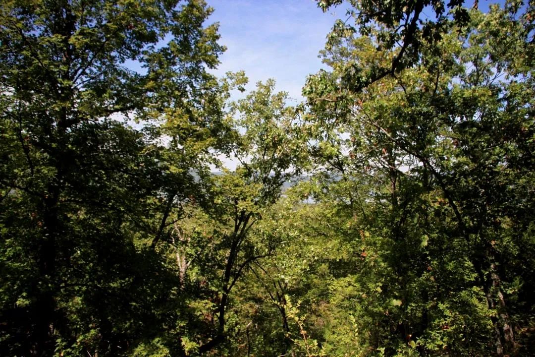 Lakeview Private Reserve Tract 15 - Image 4
