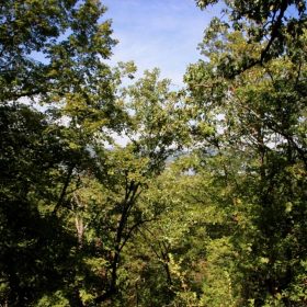 Lakeview Private Reserve Tract 15 in Pushmataha County, OK