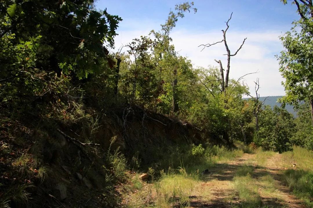 Decorative background for Lakeview Private Reserve Tract 15 image 5