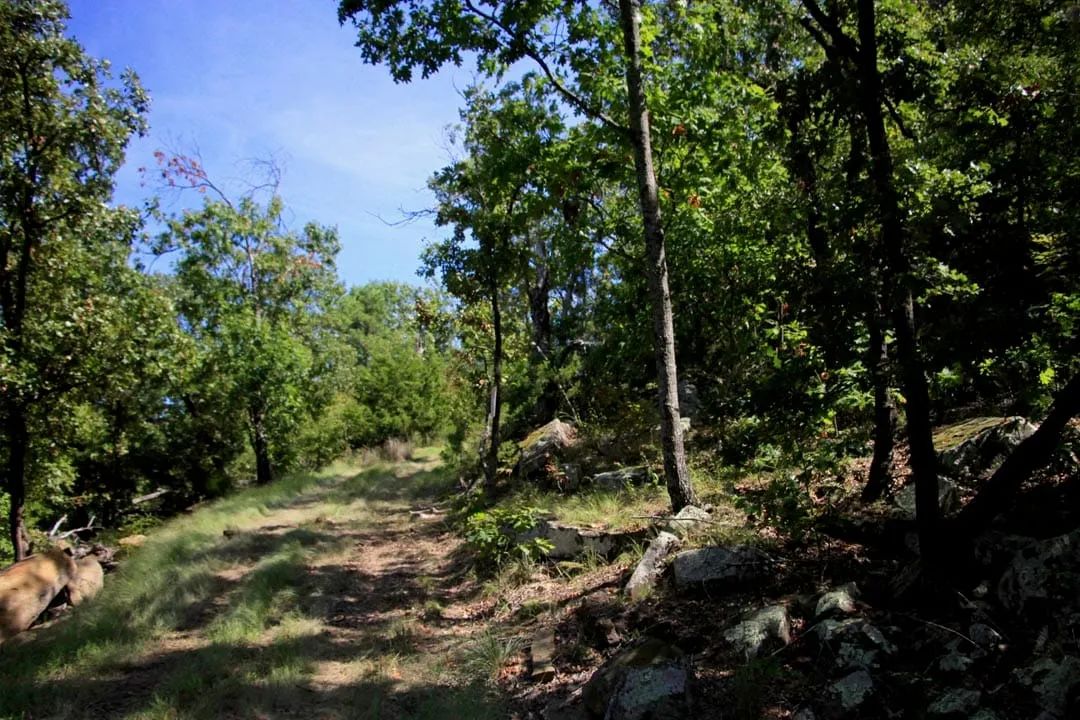 Decorative background for Lakeview Private Reserve Tract 15 image 6