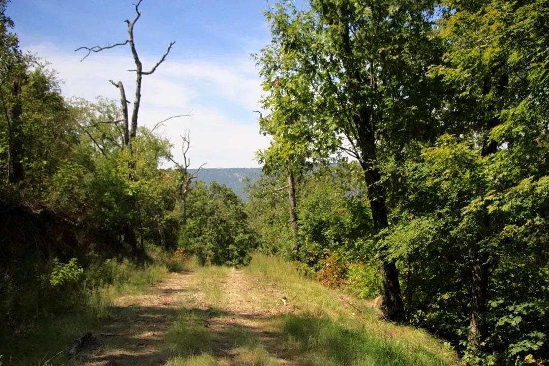 Decorative background for Lakeview Private Reserve Tract 15 image 7