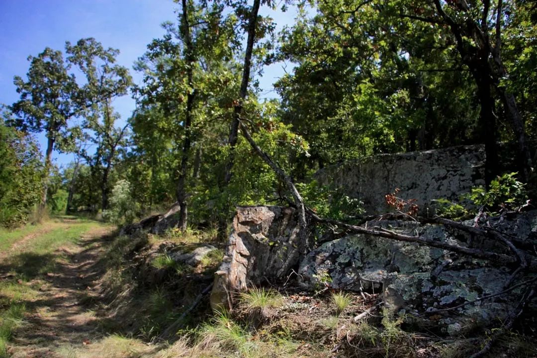 Decorative background for Lakeview Private Reserve Tract 15 image 8