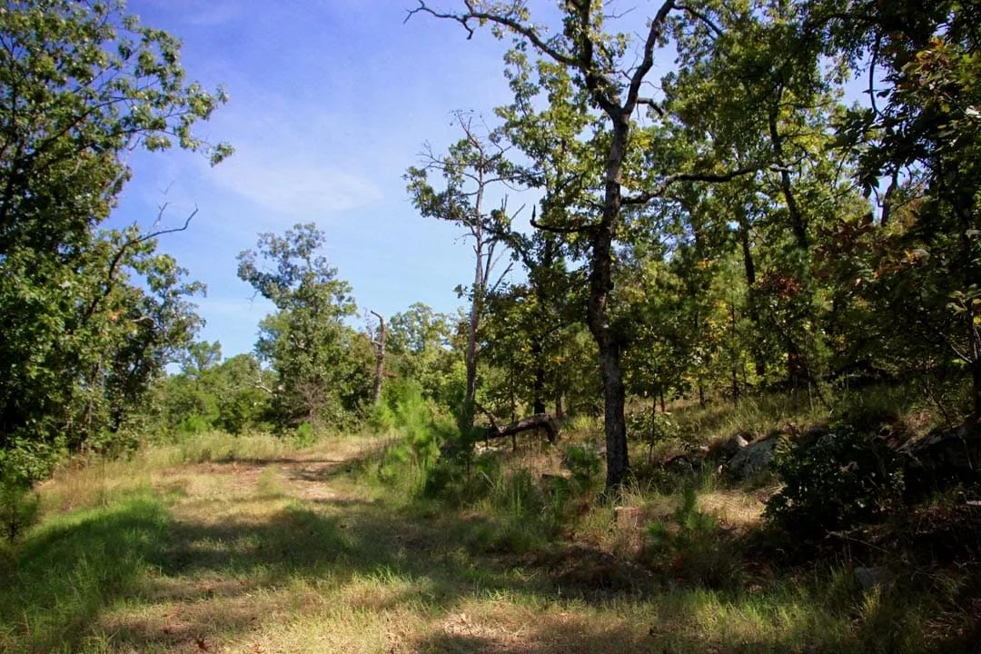 Decorative background for Lakeview Private Reserve Tract 15 image 9