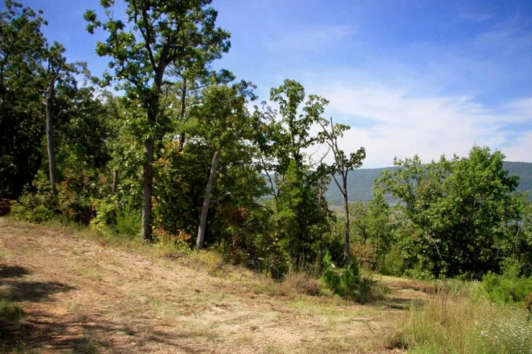 Decorative background for Lakeview Private Reserve Tract 15 image 10