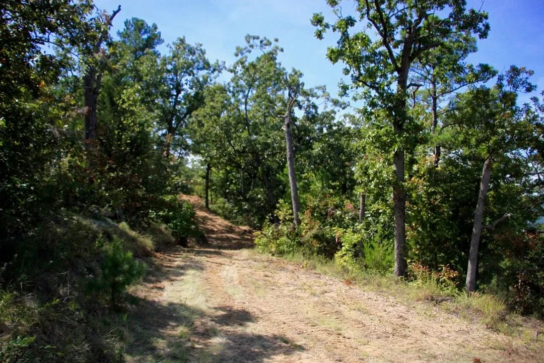 Decorative background for Lakeview Private Reserve Tract 15 image 11