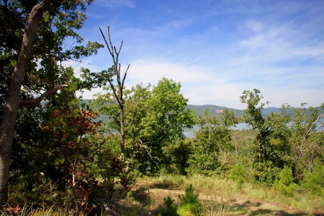 Decorative background for Lakeview Private Reserve Tract 15 image 12