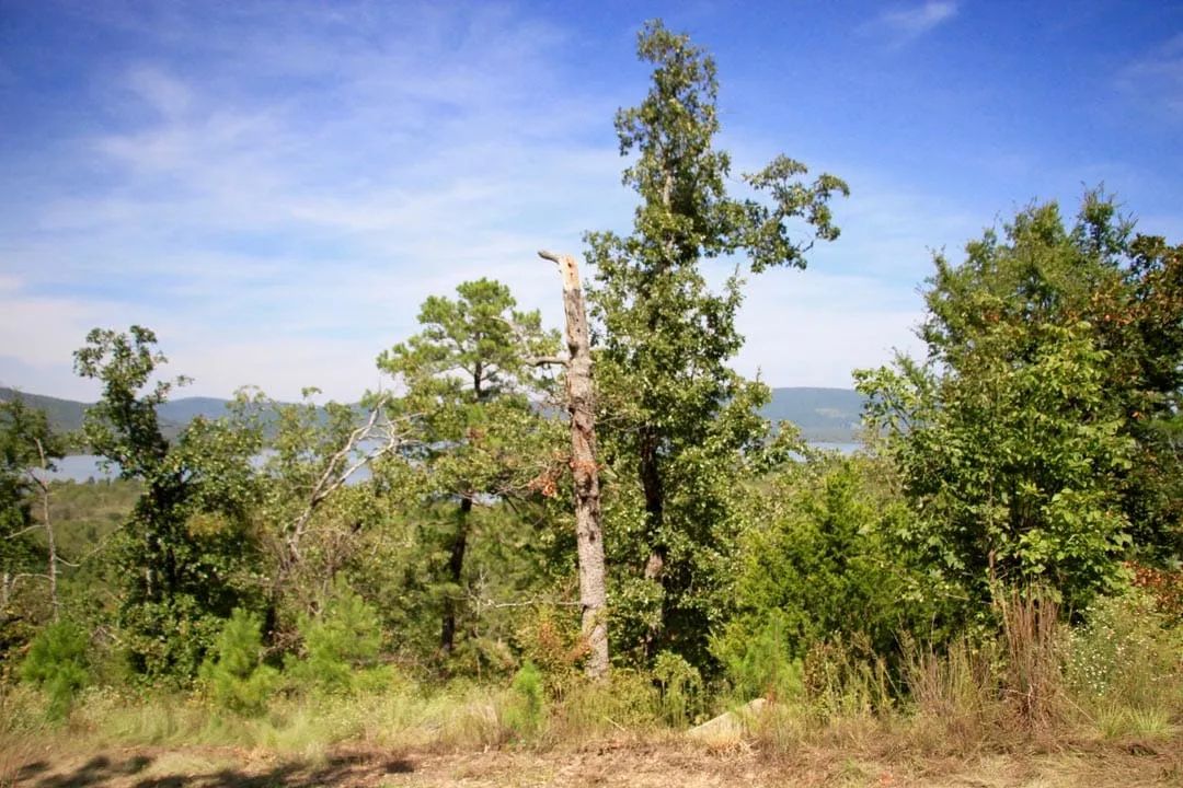 Decorative background for Lakeview Private Reserve Tract 15 image 13