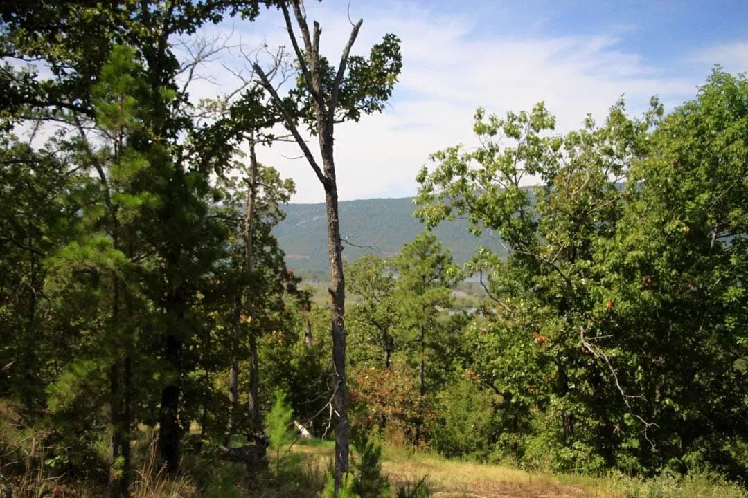 Decorative background for Lakeview Private Reserve Tract 15 image 15