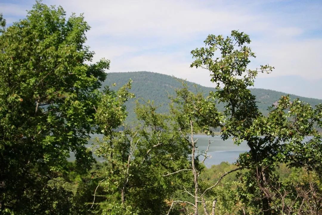 Decorative background for Lakeview Private Reserve Tract 15 image 16