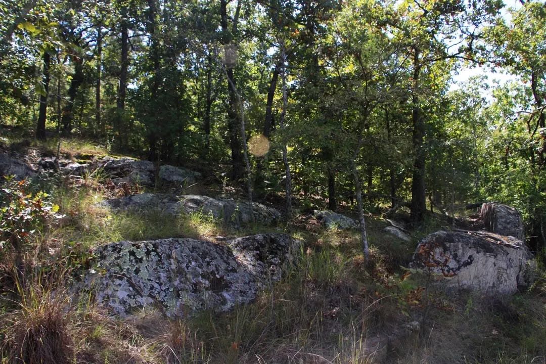 Decorative background for Lakeview Private Reserve Tract 15 image 18