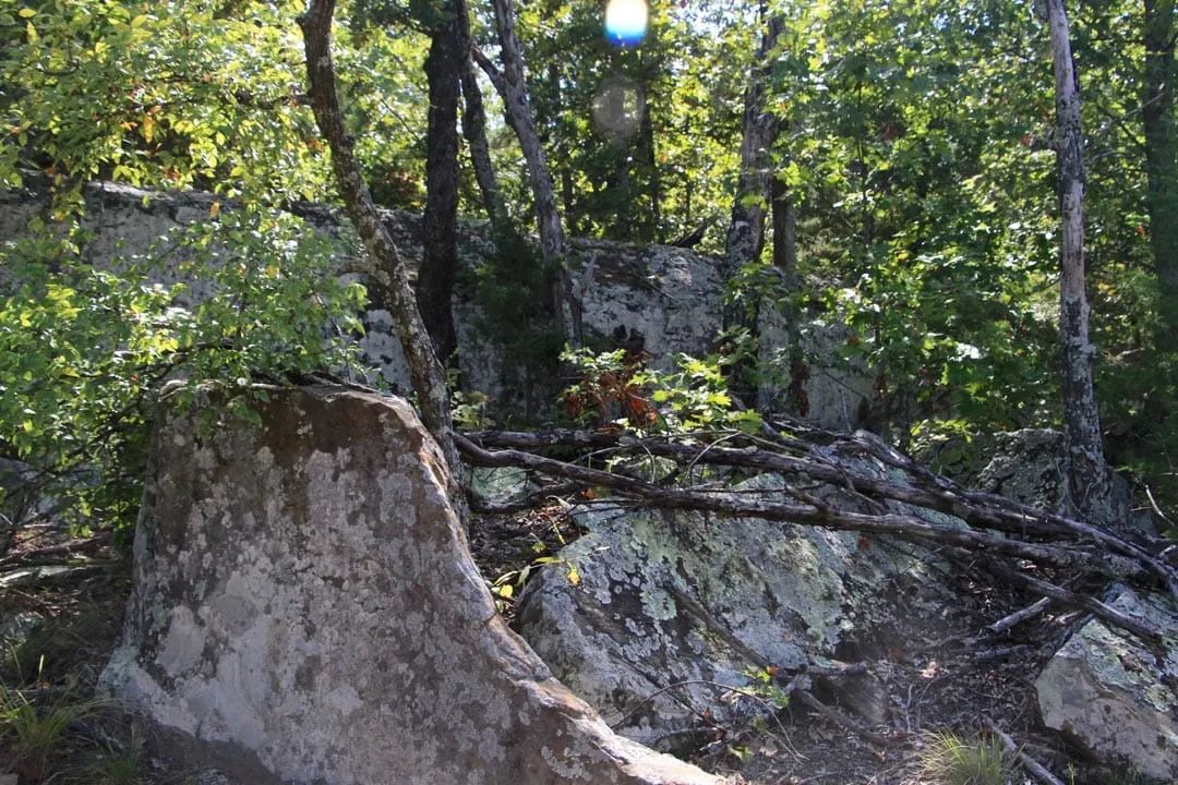 Decorative background for Lakeview Private Reserve Tract 15 image 19