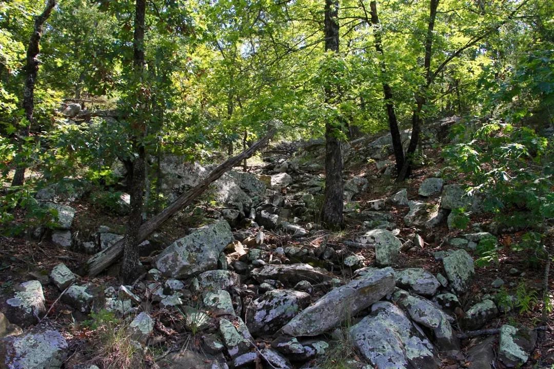 Decorative background for Lakeview Private Reserve Tract 15 image 20