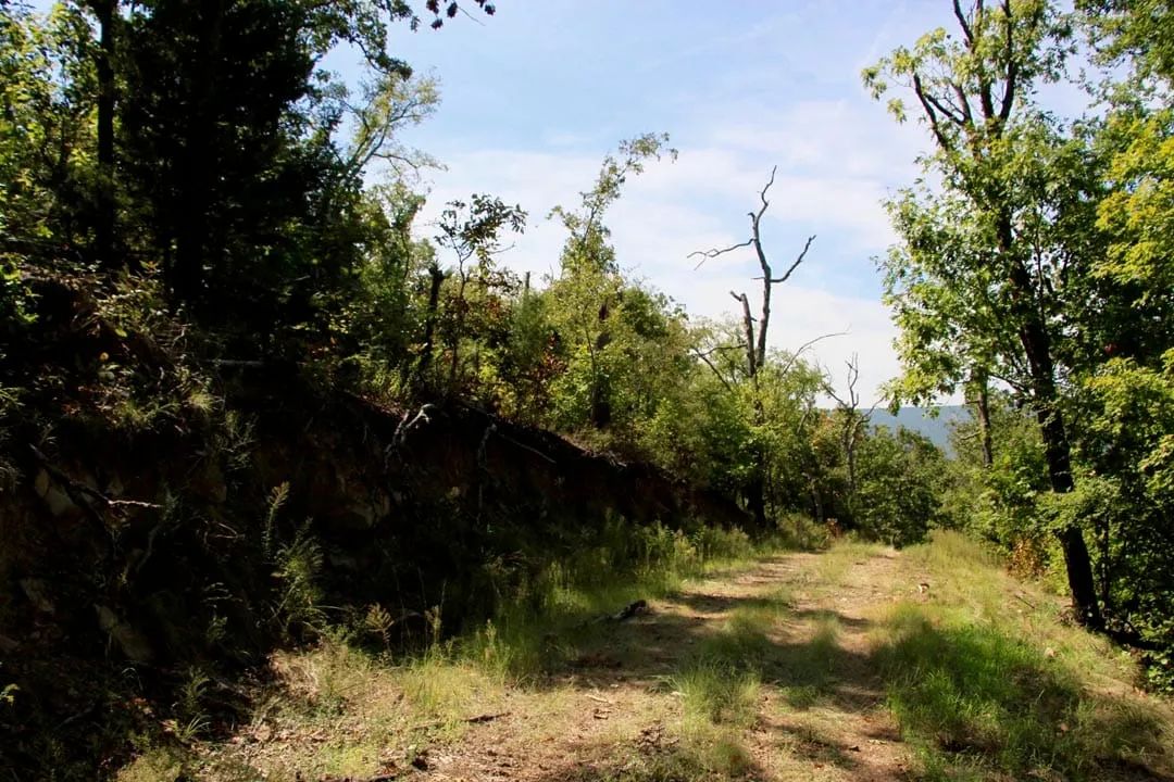 Decorative background for Lakeview Private Reserve Tract 15 image 21