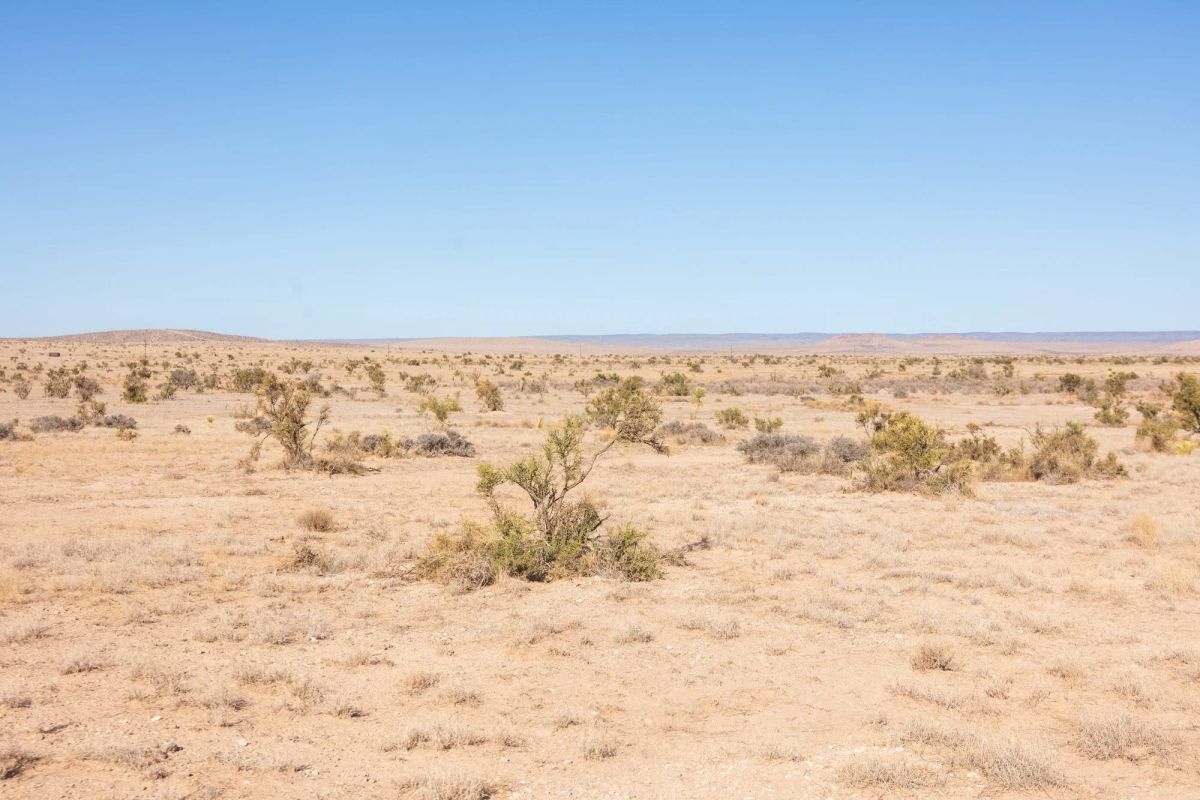 Decorative background for Sunrise Ranches Phase IV Tract 207 image 6