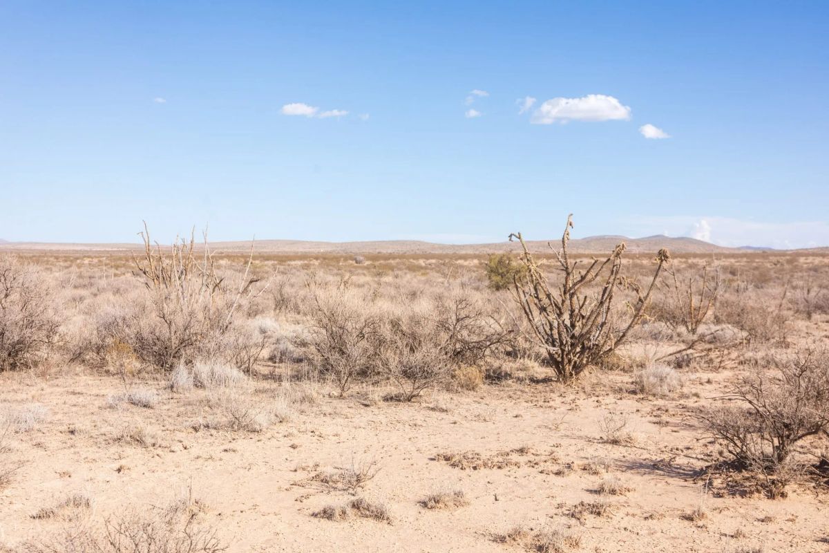 Decorative background for Sunrise Ranches Phase IV Tract 207 image 7