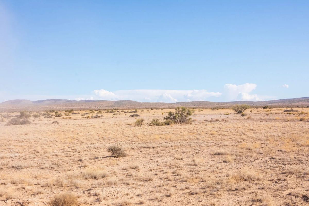 Decorative background for Sunrise Ranches Phase IV Tract 207 image 8