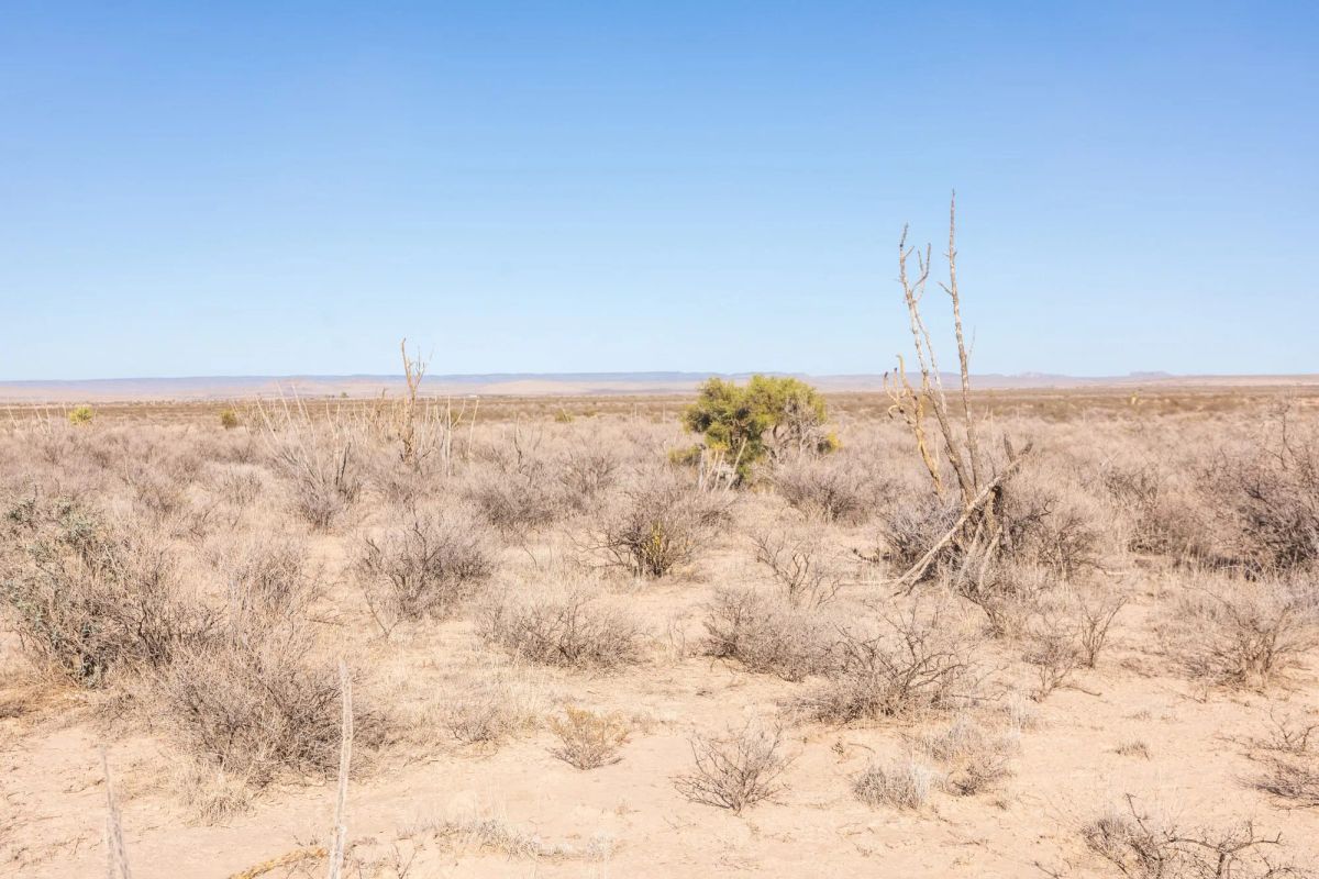 Decorative background for Sunrise Ranches Phase IV Tract 207 image 9