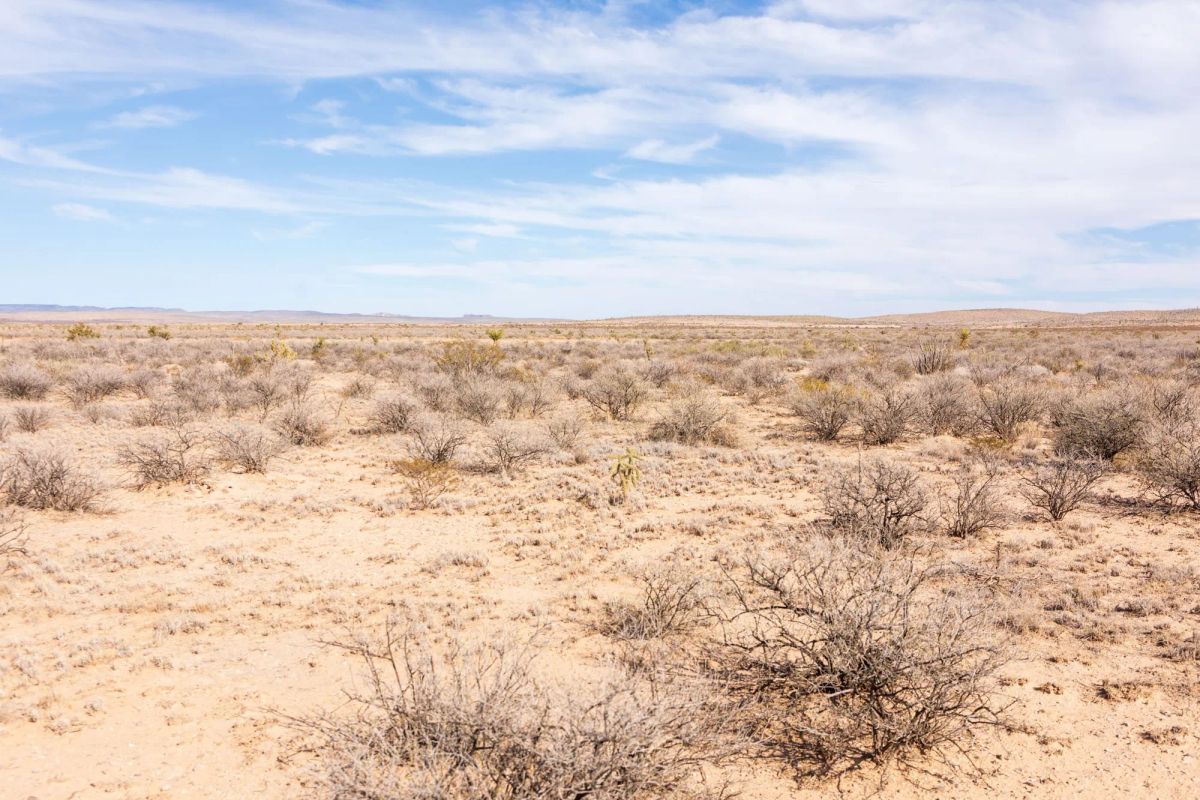 Decorative background for Sunrise Ranches Phase IV Tract 207 image 10