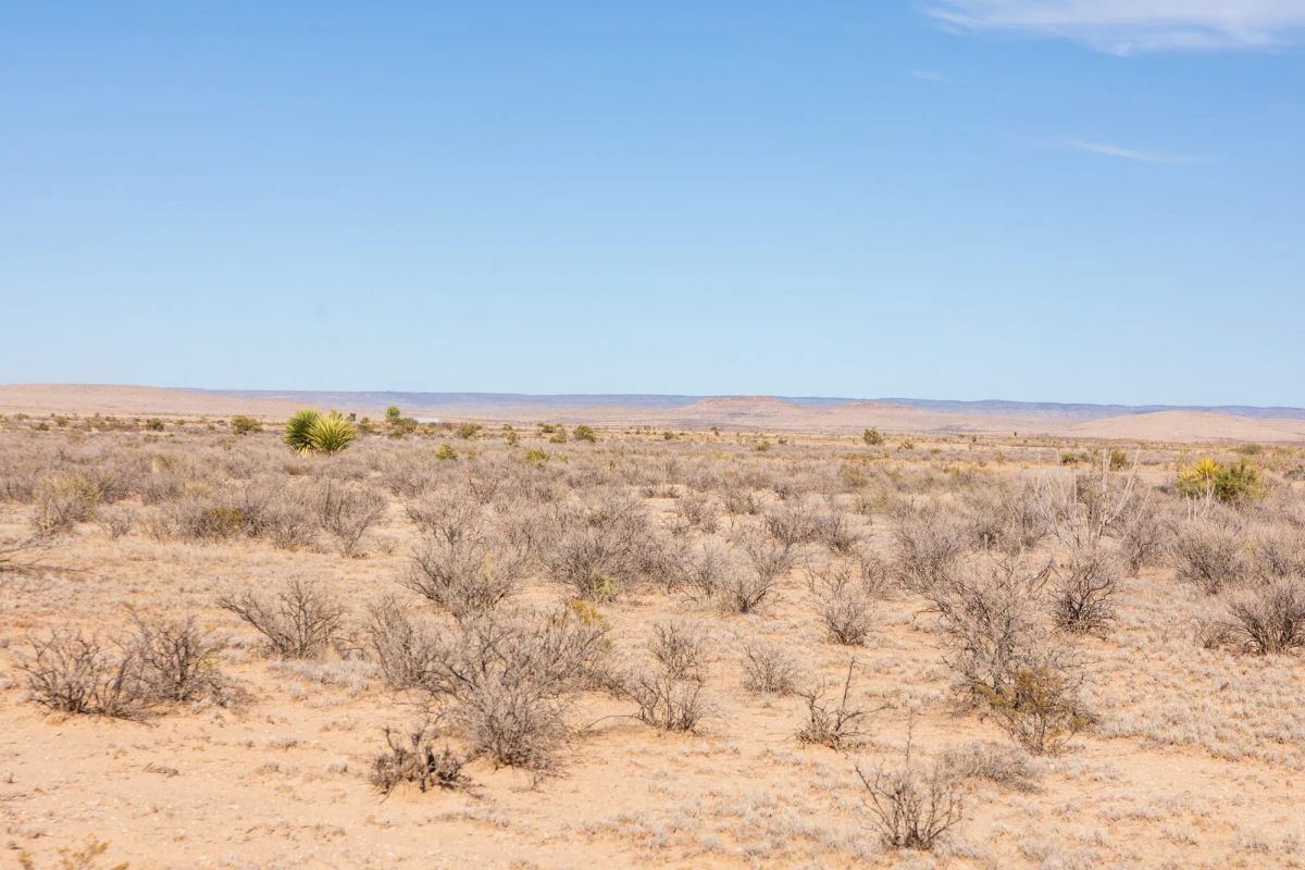 Decorative background for Sunrise Ranches Phase IV Tract 207 image 12