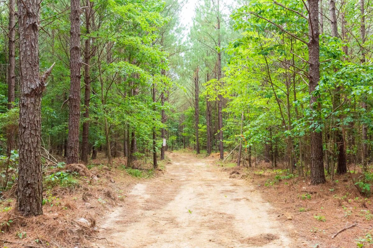 Whiskey Ridge Tract 86 - Main image