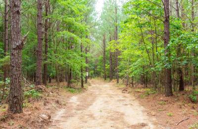Whiskey Ridge Tract 86