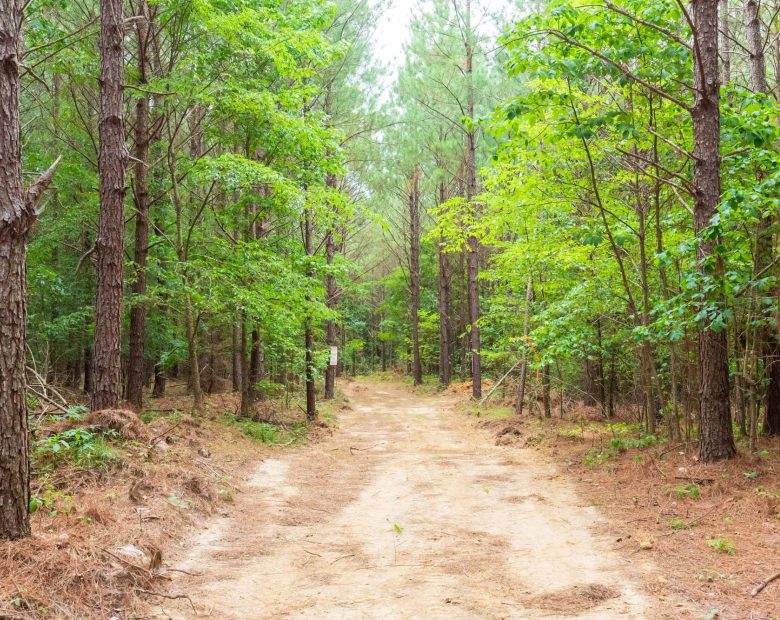 Whiskey Ridge Tract 86 in Henderson County, TN