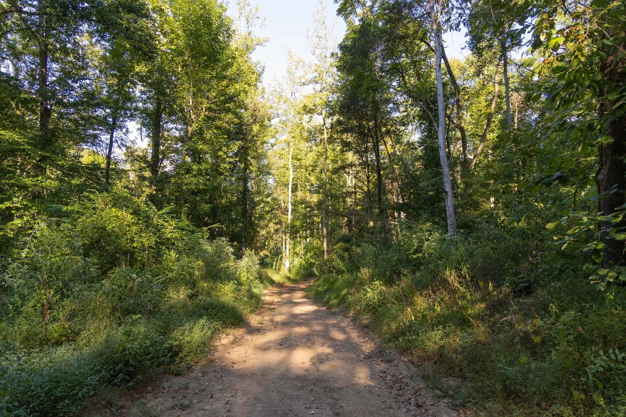 Big White Oak Tract 89 in Perry County, TN