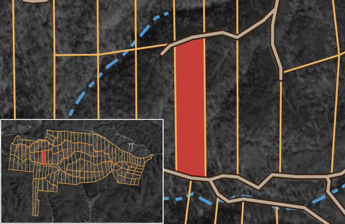 Decorative background for Big White Oak Tract 89 image 15