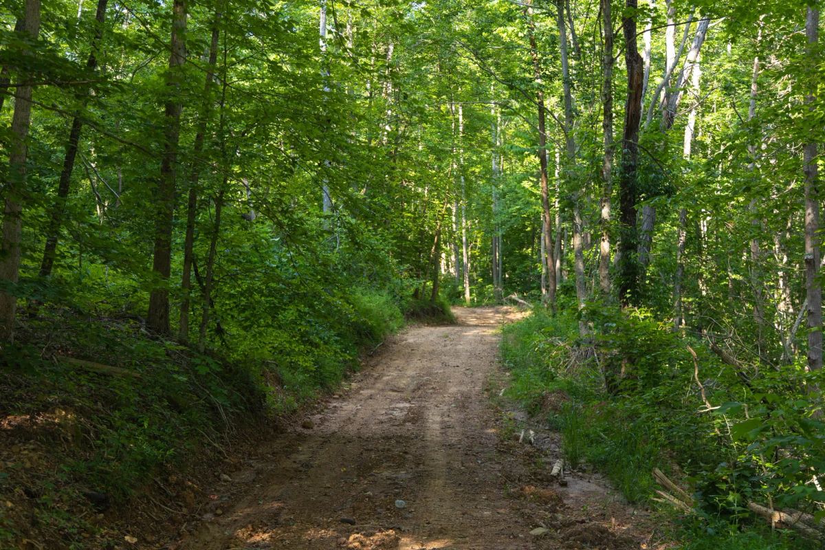Creek Hollow Phase II Tract 65 - Main image