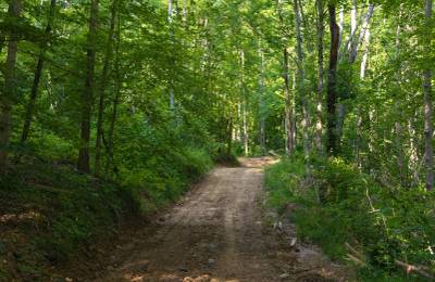Creek Hollow Phase II Tract 65