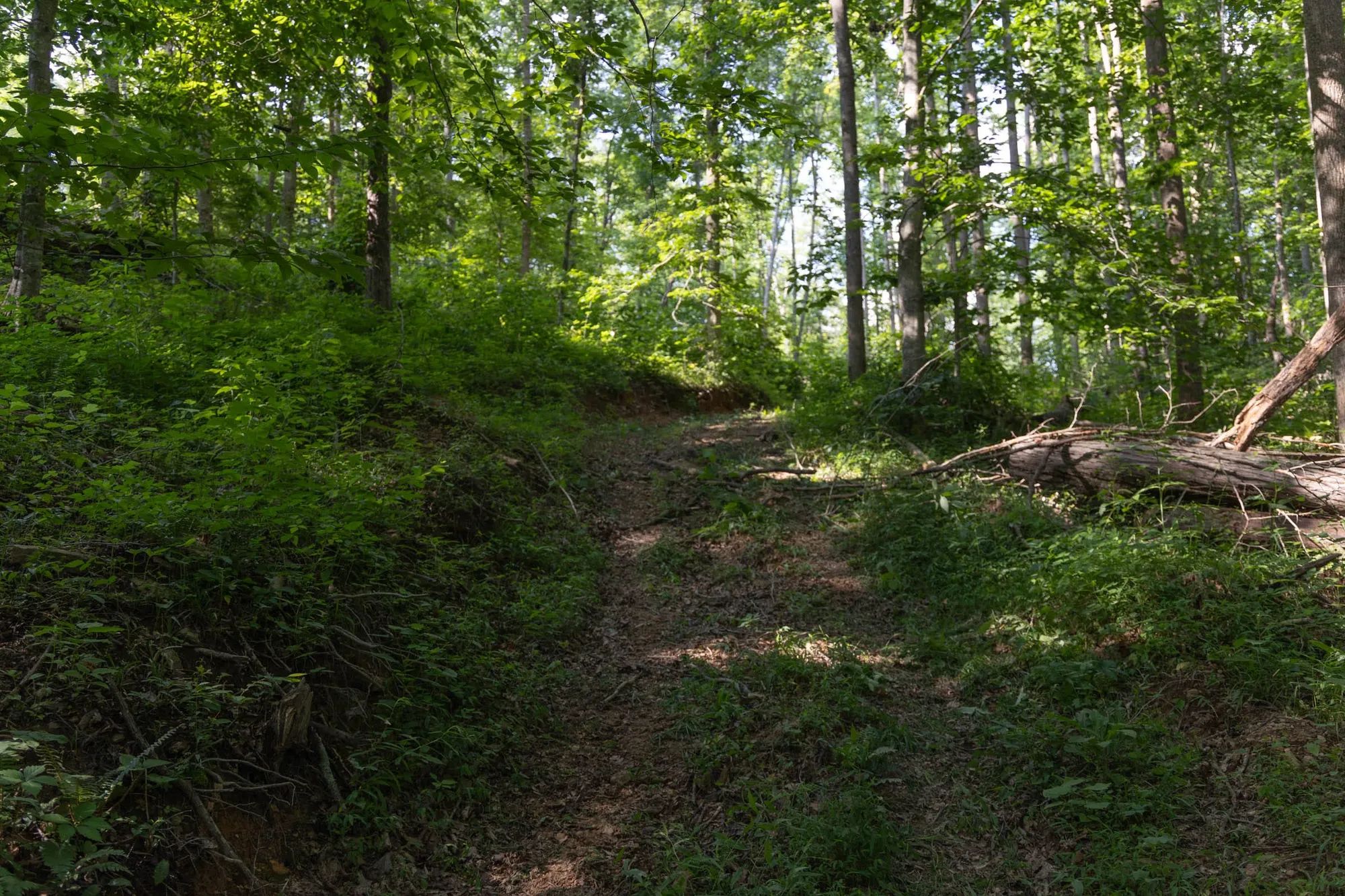 Creek Hollow Phase II Tract 65 in Rockcastle County, KY