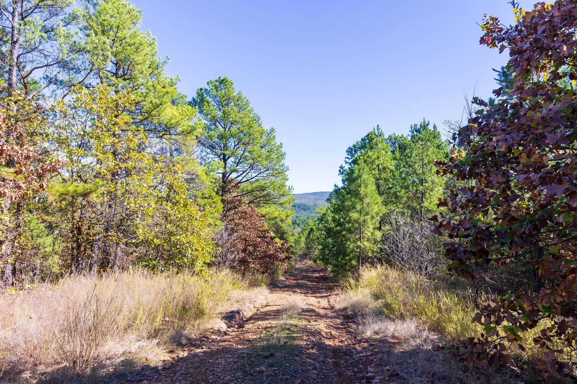 Stone Bridge Reserve Tract 23 in Haskell County, OK