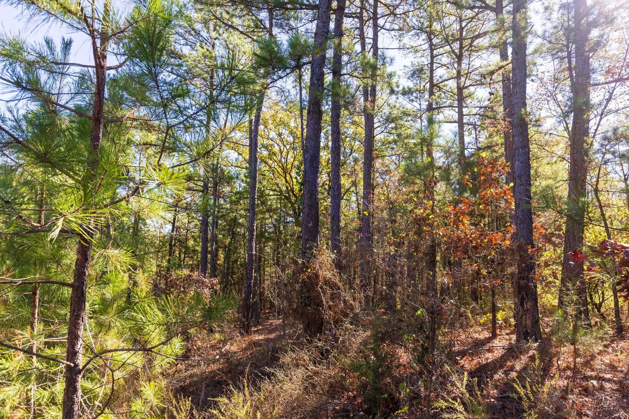 Stone Bridge Reserve Tract 23 in Haskell County, OK